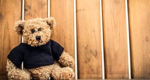 Muzej u Bačkoj Topoli priprema izložbu posvećenu starinskim plišanim meda