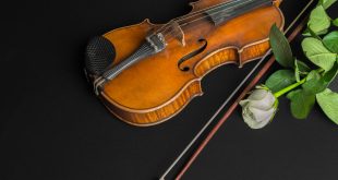 Zvuci violine 18. februara u Muzičkoj školi